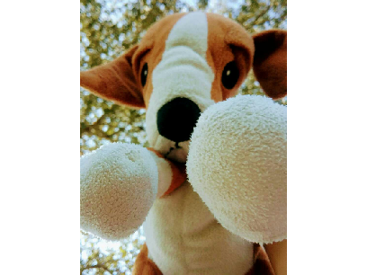 Another pic of my stuffed animal (Photography)