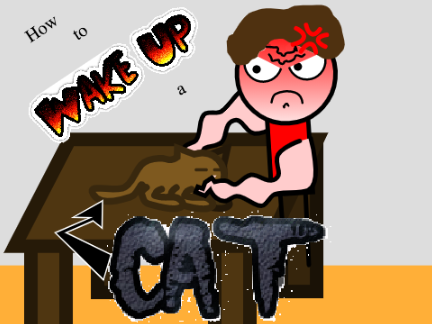 How to Wake Up a Cat
