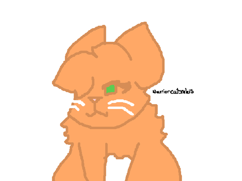 for @WarriorcatsMEGAfan30