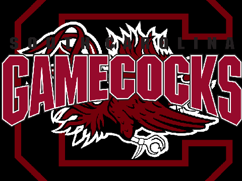South Carolina Gamecocks