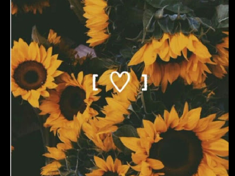 Yellow~*\.