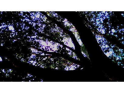 Photography Practice
