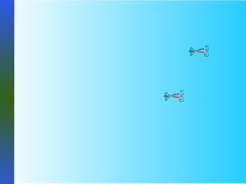 Feed the Fish! [Re-make] (Testing)
