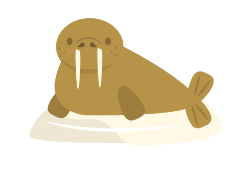 Walrus