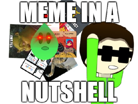 meme in a nutshell