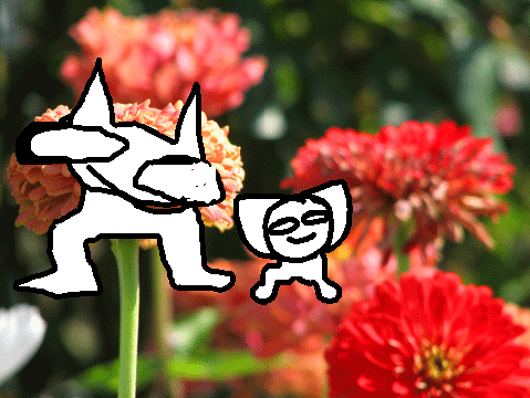 one year on scratch!