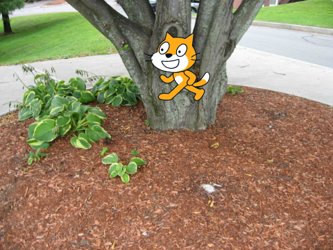 test
