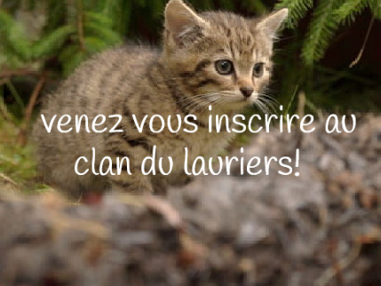 Venez vous inscrire au clan du laurier!