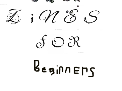 Zines for beginners.