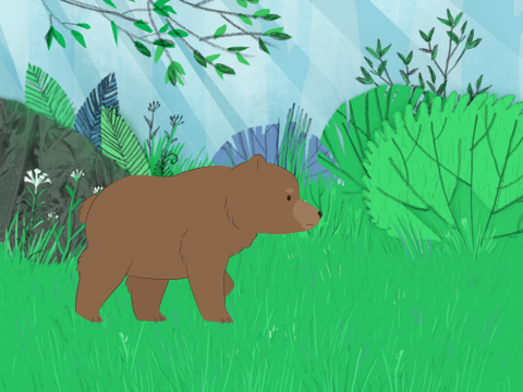 Typical Bear Encounter