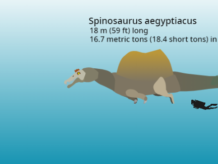 Spinosaurus (aquatic) - Swimming Animation