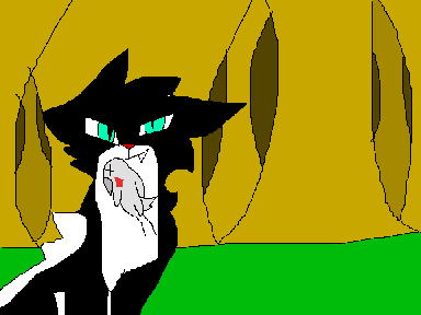 Good in me/Hawkpaw map part 10 + 15 + 18 + outro B