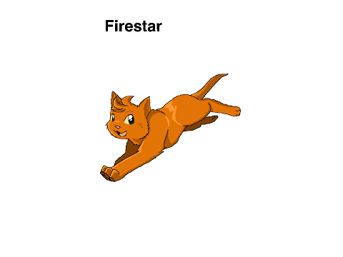 Warrior Cats!