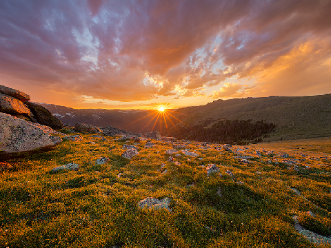 Sun
