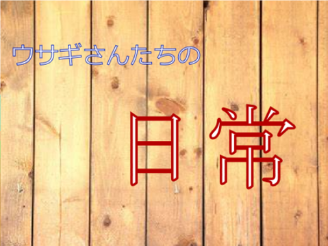 【妹作】ウサギさんたちの日常