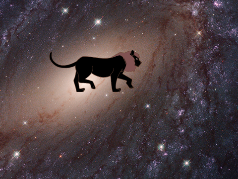 voltron black lion
