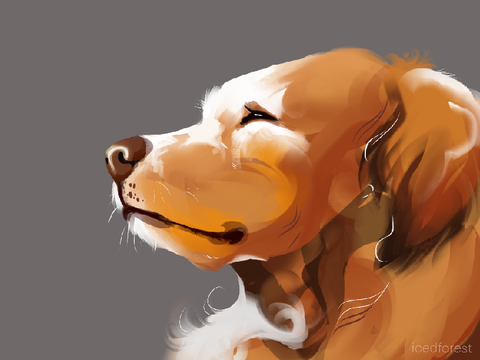 art dumpy dude 
