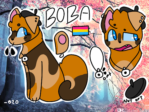 DMACE || Boba