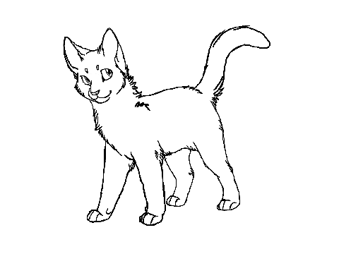 CC for @888cats
