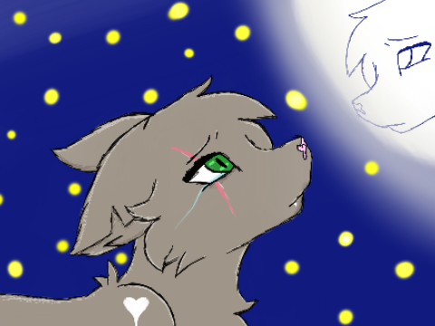 Faded CC: Greymoon and Silverclaw