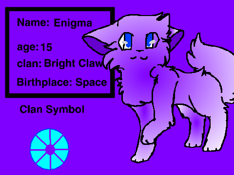 Warrior Cat: Enigma