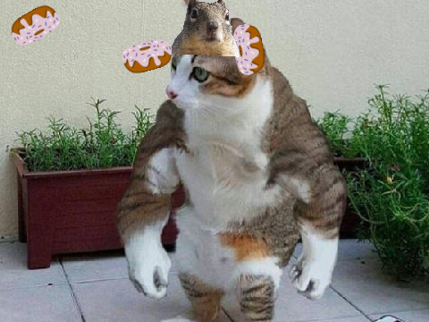 dounuts can be poisonous