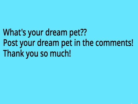 what's your dream pet?
