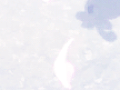 ꕤ