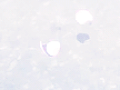 ꕤ