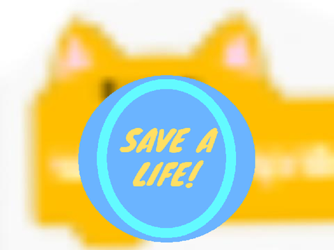 SAVE THE CATBLOCKS NOW (and other 2020 pranks) remix