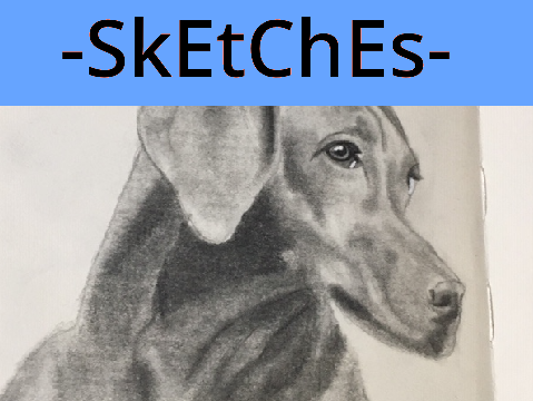 -SkEtChEs-