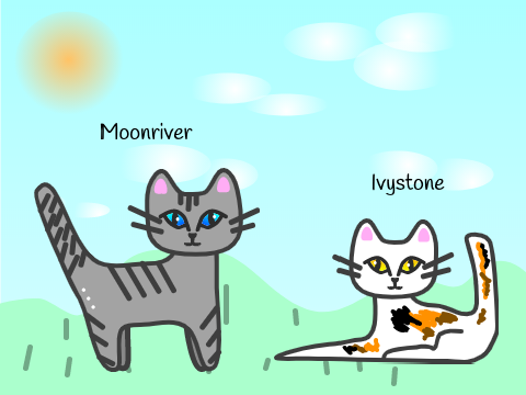 Once a Clan Cat, Always a Clan Cat