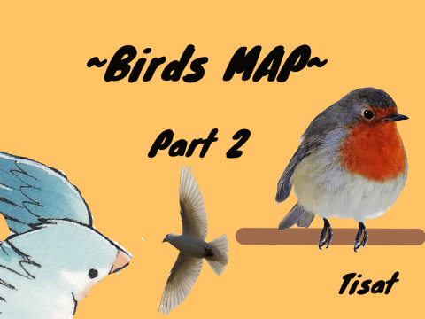 Birds MAP | Part 2