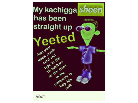 S H E E N