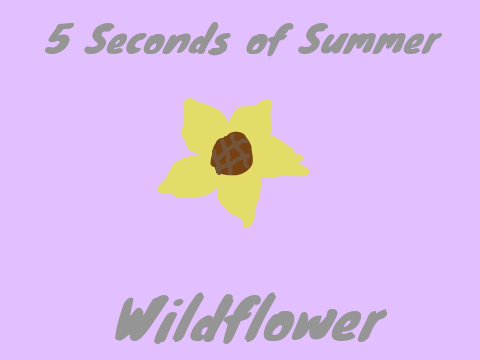 Wildflower-5 Seconds of Summer