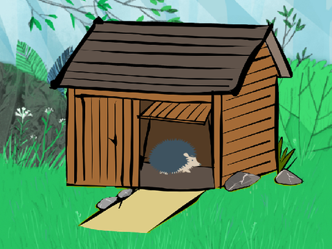 Adopt A Hedgehog!