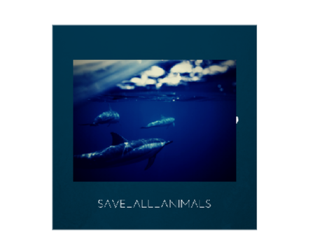Save_ALL_Animal's Icon!