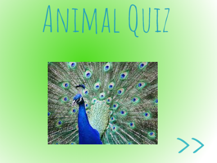 Animal Quiz