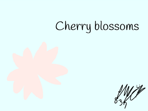 Cherry blossoms
