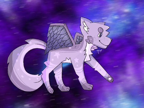 ✰ starry sky ✰