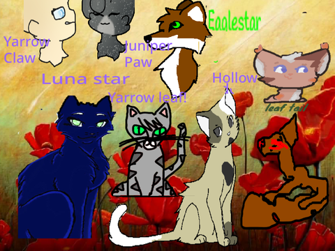 WARRIOR CATS ASSEMBLE  OLD