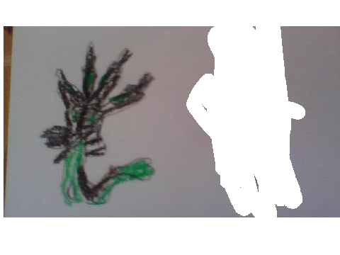 zygarde 50%