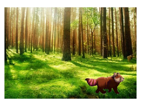 Redpanda Studios Animation