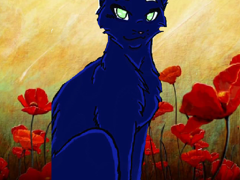 WARRIOR CATS ASSEMBLE  remix