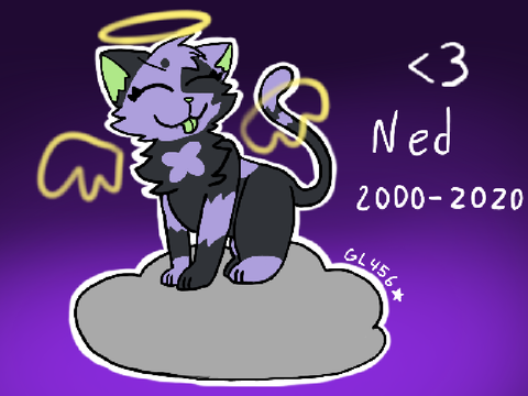 see you around, ned
