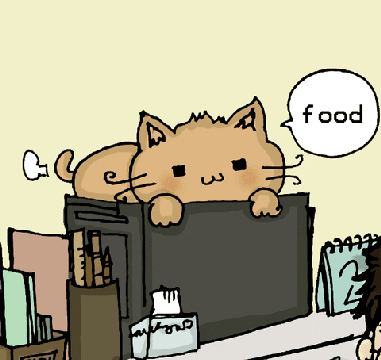 da cat