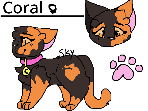 || Coral || Sign-Up Sheet ||