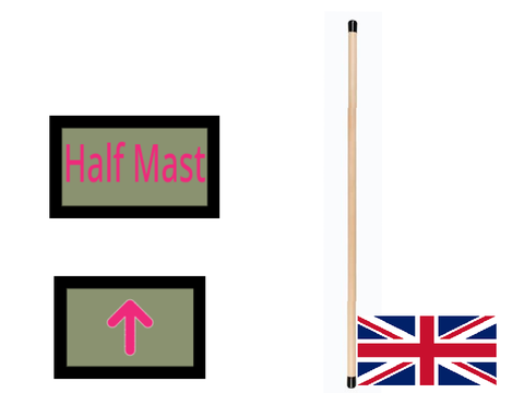 Scout Flag