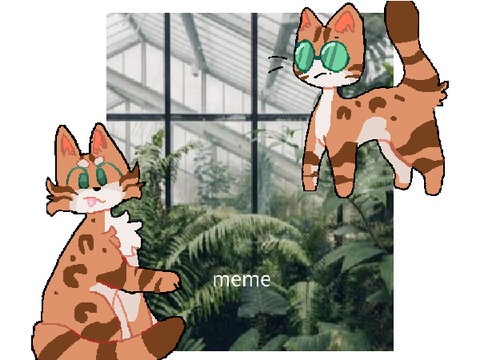 HIP | Meme