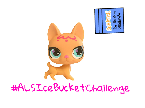 @Gold3 In The ALS Ice Bucket Challenge